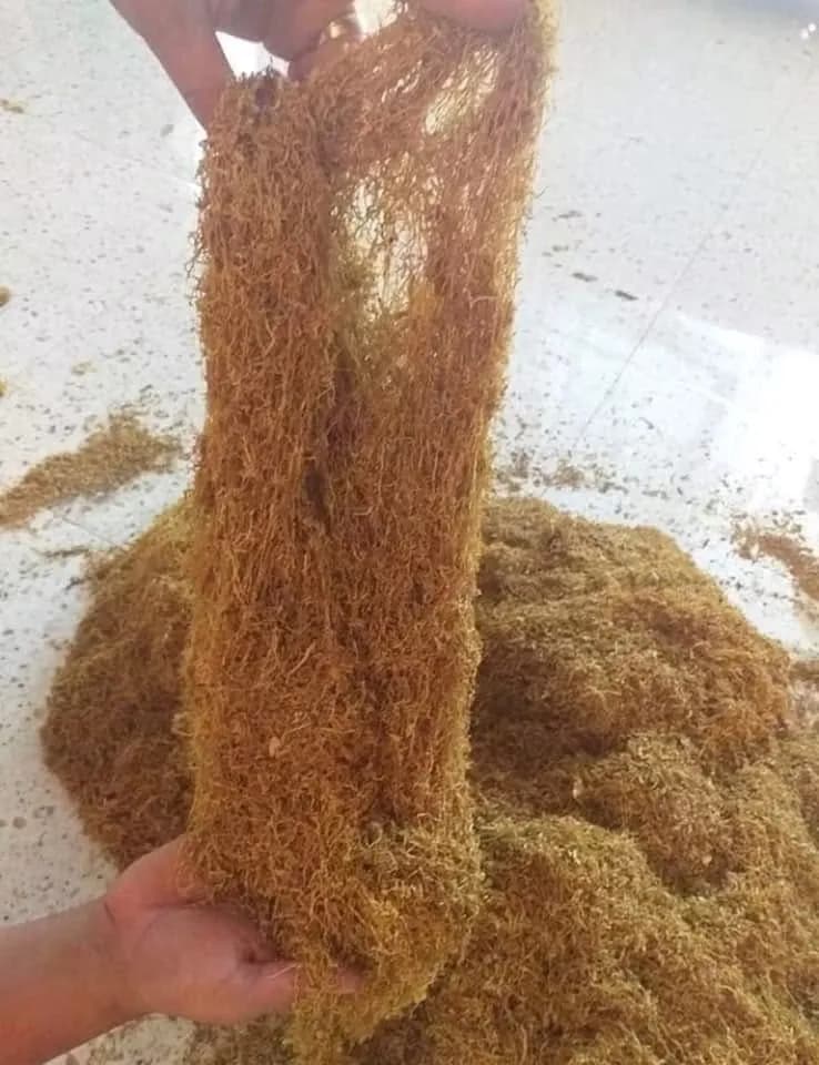 Tutun natural fin, tăiat proaspăt